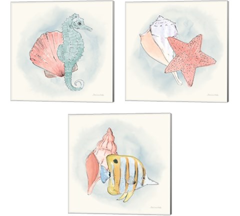 Sea Life 3 Piece Canvas Print Set by Sara Zieve Miller