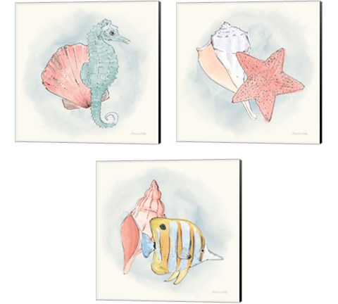 Sea Life 3 Piece Canvas Print Set by Sara Zieve Miller