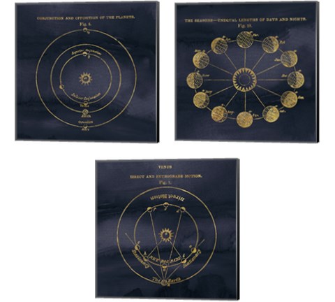 Geography of the Heavens Blue Gold 3 Piece Canvas Print Set by Wild Apple Portfolio