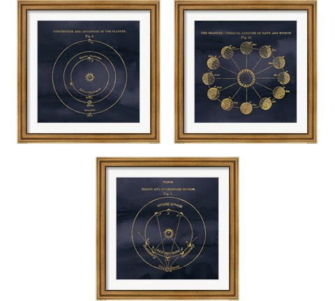 Geography of the Heavens Blue Gold 3 Piece Framed Art Print Set by Wild Apple Portfolio
