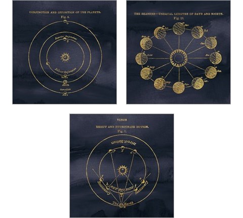 Geography of the Heavens Blue Gold 3 Piece Art Print Set by Wild Apple Portfolio