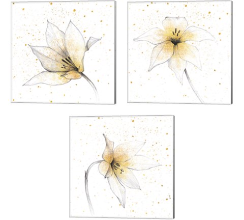 Gilded Graphite Floral 3 Piece Canvas Print Set by Avery Tillmon