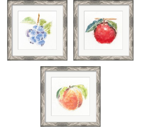 Garden Delight 3 Piece Framed Art Print Set by Emily Adams