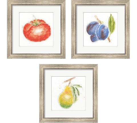 Garden Delight 3 Piece Framed Art Print Set by Emily Adams