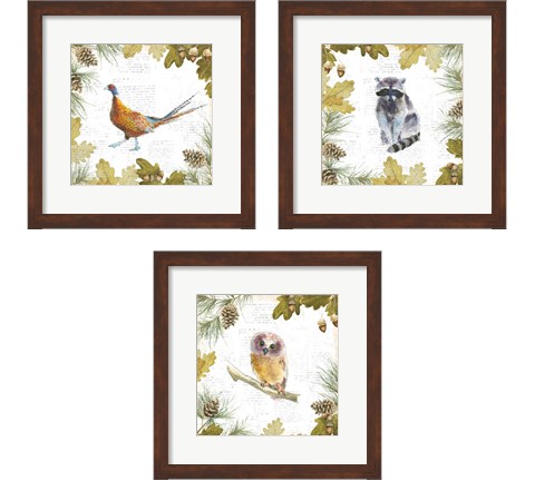 Into the Woods 3 Piece Framed Art Print Set by Emily Adams