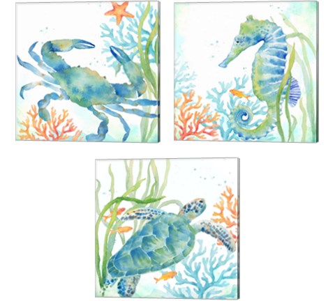 Sea Life Serenade 3 Piece Canvas Print Set by Cynthia Coulter