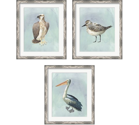 Watercolor Beach Bird 3 Piece Framed Art Print Set by Grace Popp