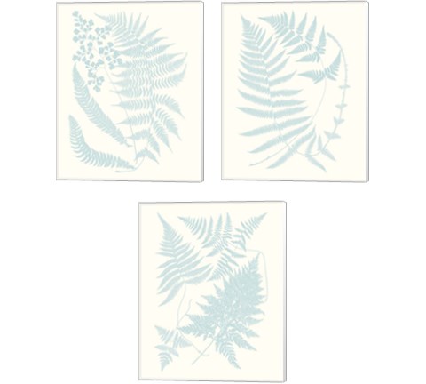 Serene Ferns 3 Piece Canvas Print Set by Vision Studio