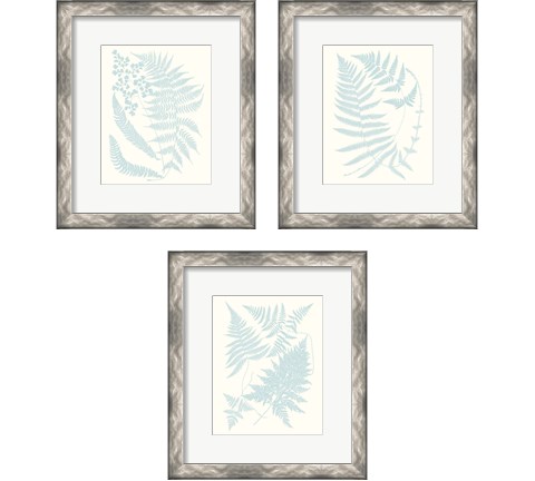 Serene Ferns 3 Piece Framed Art Print Set by Vision Studio