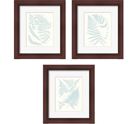 Serene Ferns 3 Piece Framed Art Print Set by Vision Studio