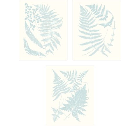 Serene Ferns 3 Piece Art Print Set by Vision Studio
