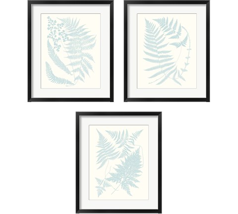 Serene Ferns 3 Piece Framed Art Print Set by Vision Studio