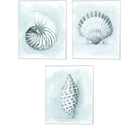 Coastal Shell Schematic 3 Piece Canvas Print Set by Megan Meagher