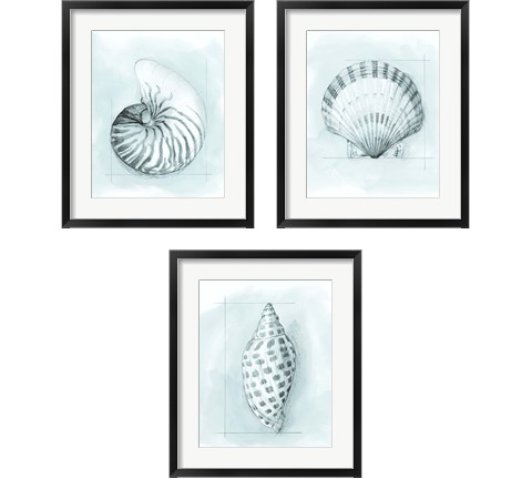 Coastal Shell Schematic 3 Piece Framed Art Print Set by Megan Meagher