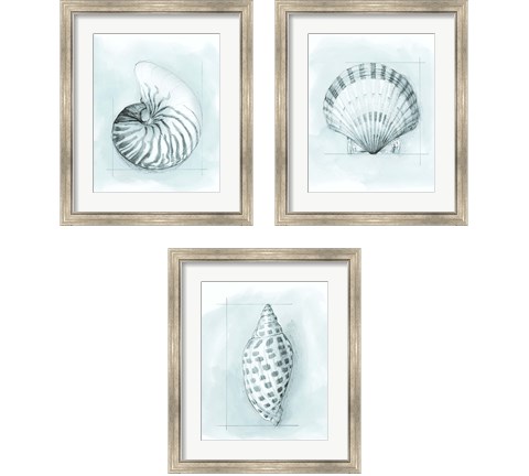 Coastal Shell Schematic 3 Piece Framed Art Print Set by Megan Meagher