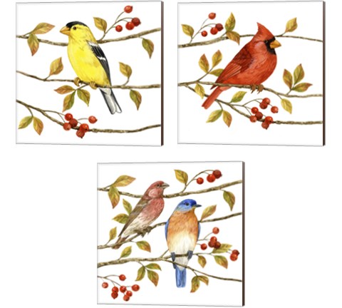 Birds & Berries 3 Piece Canvas Print Set by Jane Maday