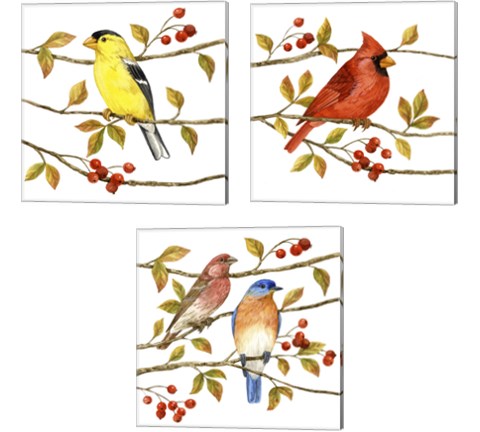 Birds & Berries 3 Piece Canvas Print Set by Jane Maday