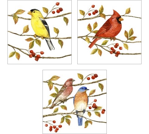 Birds & Berries 3 Piece Art Print Set by Jane Maday