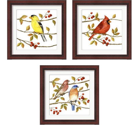 Birds & Berries 3 Piece Framed Art Print Set by Jane Maday