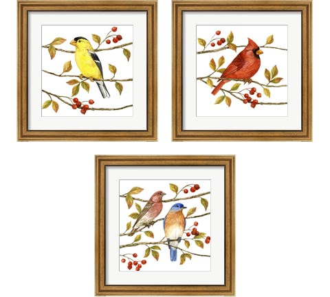 Birds & Berries 3 Piece Framed Art Print Set by Jane Maday