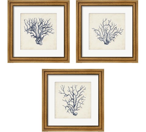 Coral Trio in Indigo 3 Piece Framed Art Print Set by Vision Studio