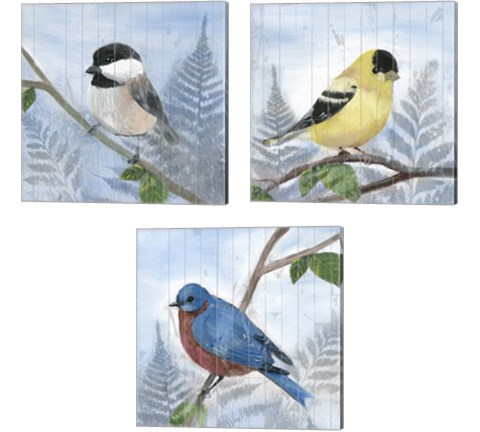 Eastern Songbird 3 Piece Canvas Print Set by Alicia Ludwig