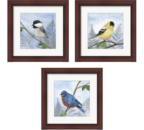 Eastern Songbird 3 Piece Framed Art Print Set by Alicia Ludwig