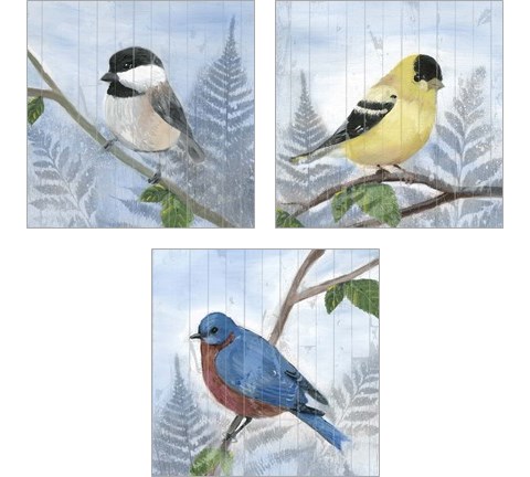 Eastern Songbird 3 Piece Art Print Set by Alicia Ludwig