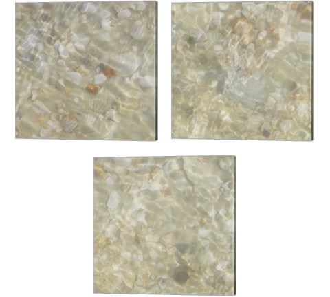 Shell Squares 3 Piece Canvas Print Set by Pam Ilosky