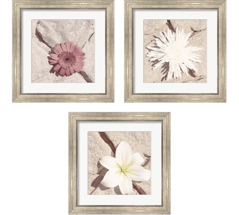 Stone Blossom 3 Piece Framed Art Print Set by Jason Johnson