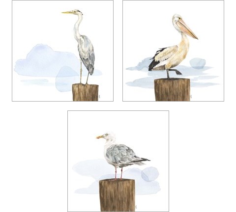 Birds of the Coast 3 Piece Art Print Set by Tara Reed
