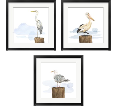 Birds of the Coast 3 Piece Framed Art Print Set by Tara Reed