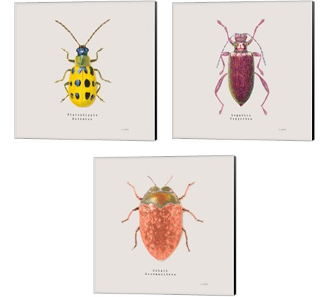 Adorning Coleoptera 3 Piece Canvas Print Set by James Wiens