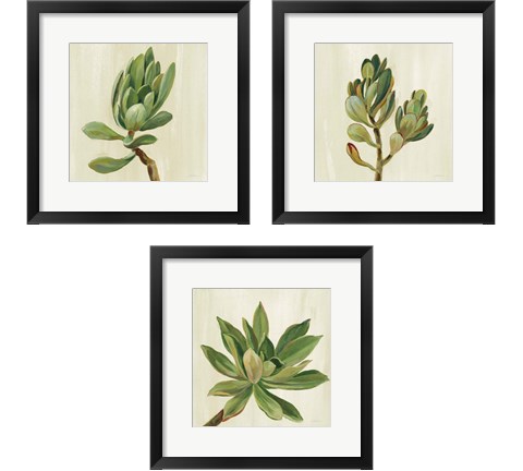 Front Yard Succulent 3 Piece Framed Art Print Set by Silvia Vassileva