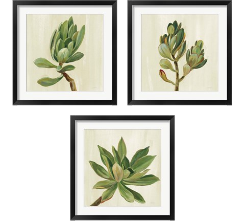 Front Yard Succulent 3 Piece Framed Art Print Set by Silvia Vassileva