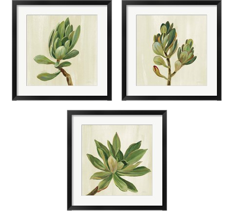 Front Yard Succulent 3 Piece Framed Art Print Set by Silvia Vassileva