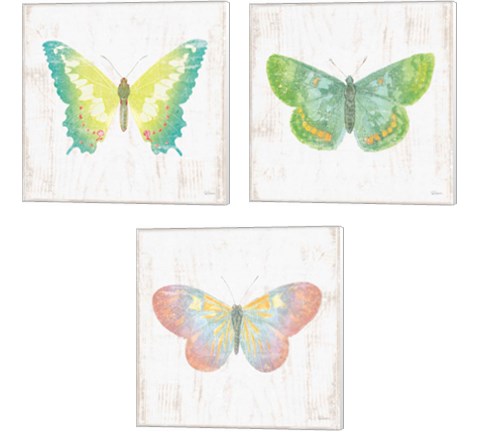 White Barn Butterflies 3 Piece Canvas Print Set by Sue Schlabach