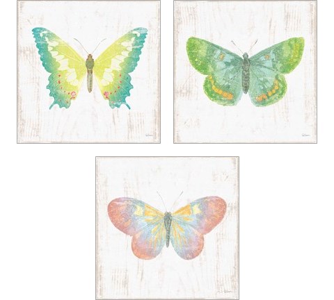 White Barn Butterflies 3 Piece Art Print Set by Sue Schlabach