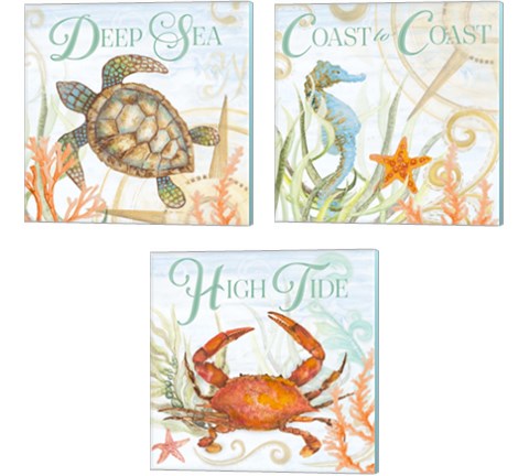 Ocean Life 3 Piece Canvas Print Set by Janice Gaynor