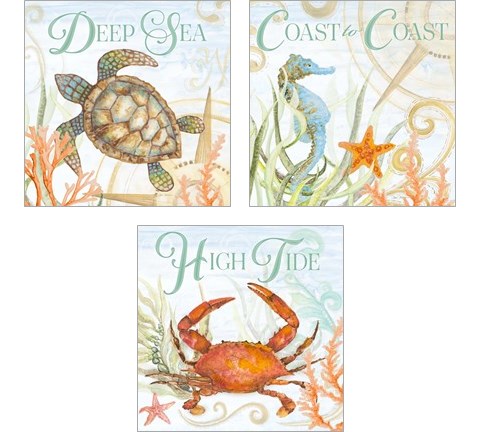 Ocean Life 3 Piece Art Print Set by Janice Gaynor