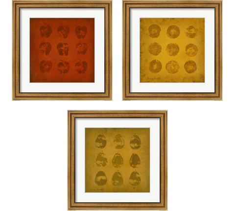 All Lined Up Fruits 3 Piece Framed Art Print Set by Lanie Loreth