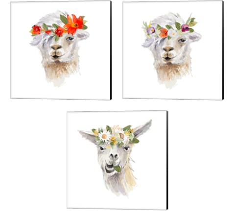Floral Llama 3 Piece Canvas Print Set by Lanie Loreth