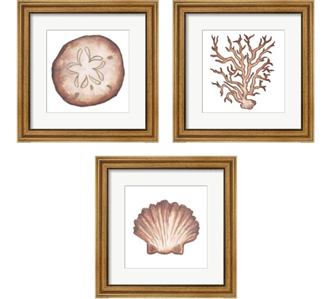 Coastal Icon Coral 3 Piece Framed Art Print Set by Elizabeth Medley
