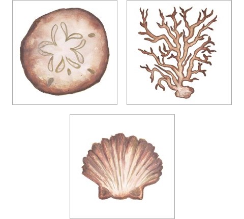Coastal Icon Coral 3 Piece Art Print Set by Elizabeth Medley
