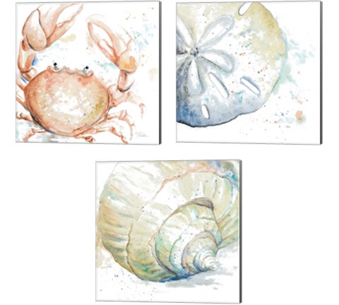Water Sea Life 3 Piece Canvas Print Set by Patricia Pinto