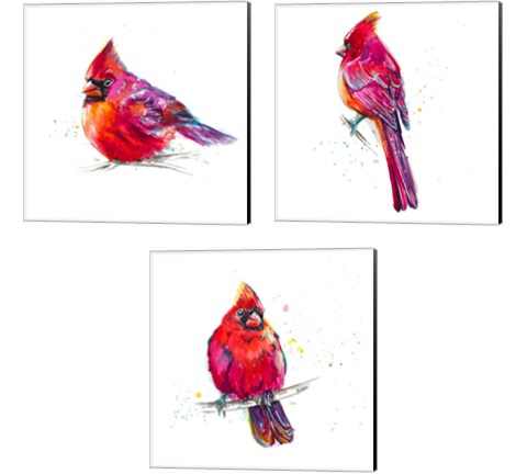 Christmas Cardinal 3 Piece Canvas Print Set by Patricia Pinto