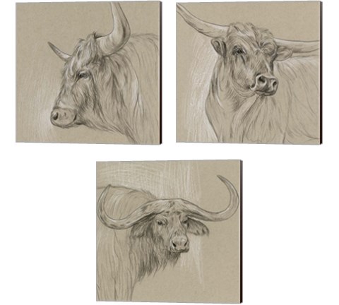 Bison Sketch 3 Piece Canvas Print Set by Melissa Wang