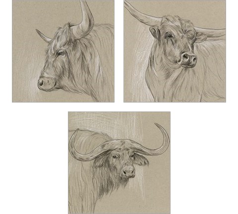 Bison Sketch 3 Piece Art Print Set by Melissa Wang