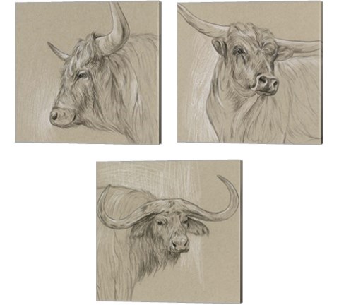 Bison Sketch 3 Piece Canvas Print Set by Melissa Wang