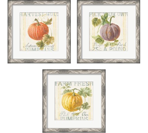 Floursack Autumn 3 Piece Framed Art Print Set by Danhui Nai